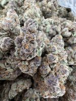 FROZEN CHERRYCANNA STRAIN FROZEN CHERRY CANNA STRAIN FROZEN CHERRYCANNA WEED STRAIN FROZEN CHERRYCANNA STRAIN INDICA OR SATIVA 