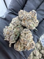 LEMON CHERRY GUMBO STRAIN lemon cherry gumbo lemon cherry gumbo strain indica or sativa lemon cherry gumbo strain thc level lemon cherry gumbo strain effects