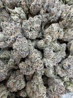 PABLO RUNTZ STRAIN pablo runtz weed strain pablo escobar runtz strain pablo escobar thca flower