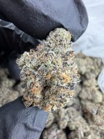 BLUEBERRY JAM STRAIN blue jam strain blue jam weed strain blueberry jam weed strain blueberry jam strain effects blueberry jam strain indica or sativa