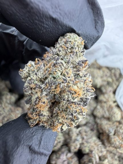 BLUEBERRY JAM STRAIN blue jam strain blue jam weed strain blueberry jam weed strain blueberry jam strain effects blueberry jam strain indica or sativa