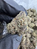 cherry z strain cherry z strain indica or sativa cherry z strain thc level cherry z weed strain z cherries strain