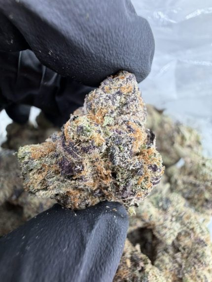 LA GUMDROP STRAIN gumdrop strain gum drop strain gumdrops strain gum drops strain