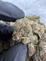 LEMON CHERRY GELATO STRAIN lcg strain lcg weed strain lemon cherry gelato strain effects lcg strain indica or sativa lemon cherry gelato thca