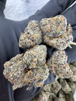 YELLOWTAIL STRAIN yellowtail strain indica or sativa yellow tail strain review yellow tail weed strain YELLOWTAIL STRAIN NEAR ME