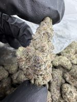 BLOCKBERRY STRAIN block berry strain blockberry blockberry weed strain blockberry strain effects blockberry strain indica or sativa