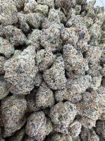 BLUE CAVIAR STRAIN blueberry caviar strain blue caviar weed strain blueberry caviar strain review blueberry caviar strain near me