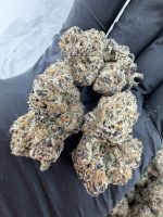 WHITE CHERRY GELATO STRAIN white cherry gelato white cherry gelato weed strain white cherry gelato strain indica or sativa white cherry gelato strain effects