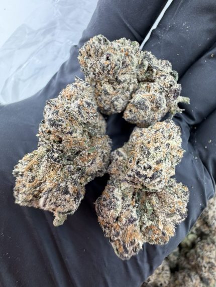 WHITE CHERRY GELATO STRAIN white cherry gelato white cherry gelato weed strain white cherry gelato strain indica or sativa white cherry gelato strain effects