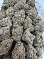 DIRTY MARTINI STRAIN dirty martini strain indica or sativa dirty martini strain review dirty martini strain effects dirty martini weed strain