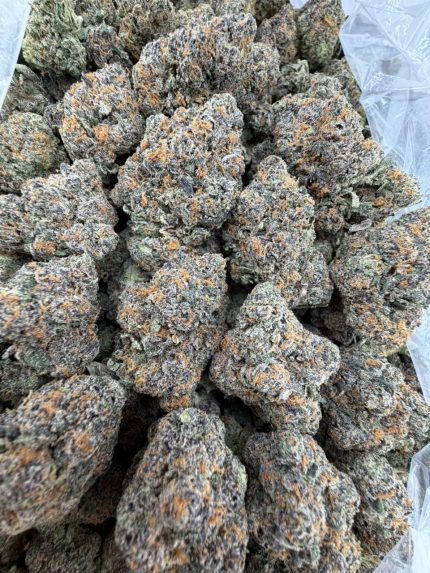 DIRTY MARTINI STRAIN dirty martini strain indica or sativa dirty martini strain review dirty martini strain effects dirty martini weed strain