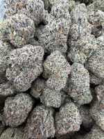 CANDY FUMES STRAIN candy fumez strain candy fumez candy fumez weed strain candy fumez strain indica or sativa