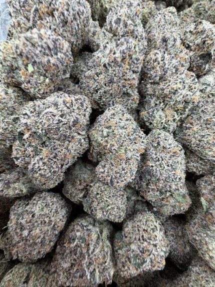 CANDY FUMES STRAIN candy fumez strain candy fumez candy fumez weed strain candy fumez strain indica or sativa