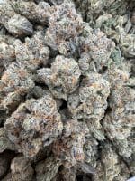 SUNNY D STRAIN sunny d strain indica or sativa sunny d strain effects SUNNY D WEED STRAIN sunny d strain review