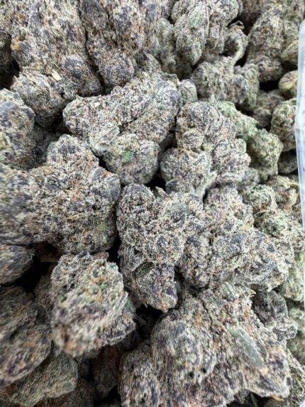 MAD SCIENTIST STRAIN mad science strain mad scientist weed mad scientist weed strain MAD S WEED STRAIN 