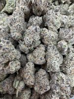 LEMON CHERRY GUMBO STRAIN lemon cherry gumbo lemon cherry gumbo strain indica or sativa lemon cherry gumbo strain thc level lemon cherry gumbo strain effects