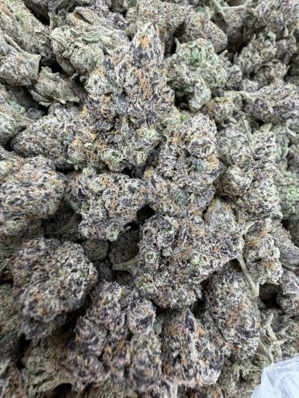 PHANTOM RUNTZ STRAIN phantom runtz weed phantom runtz weed strain PHANTOM RUNTZ STRAIN indica or sativa PHANTOM RUNTZ STRAIN review 