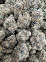 SWEET TARTS STRAIN sweet tarts strain indica or sativa sweet tarts strain effects sweet tarts strain info sweet tarts strain thc level