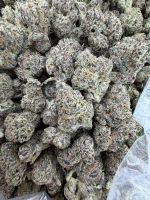 TOKYO RUNTZ STRAIN tokyo runtz weed strain tokyo runtz strain indica or sativa tokyo runtz strain review tokyo rntz