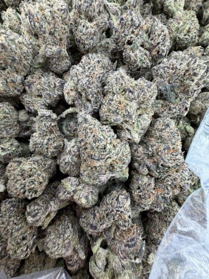 TOKYO RUNTZ STRAIN tokyo runtz weed strain tokyo runtz strain indica or sativa tokyo runtz strain review tokyo rntz