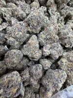 POINT BREAK STRAIN point break strain indica or sativa point break strain effects point break strain review point break strain info
