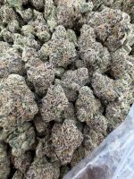 SUGAR MAMA STRAIN sugar mama weed strain sugar mama strain indica or sativa sugar mama strain effects sugar mama strain review