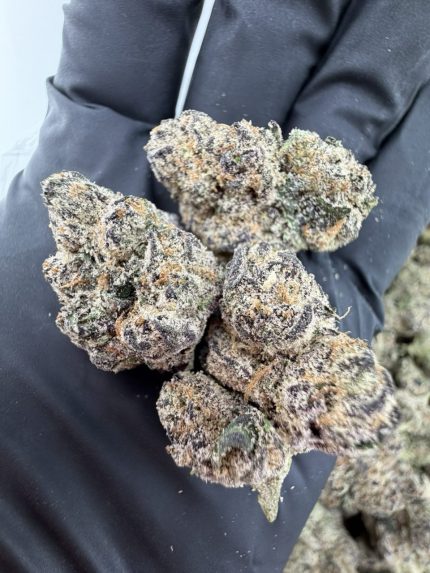 PABLO RUNTZ STRAIN pablo runtz weed strain pablo escobar runtz strain pablo escobar thca flower