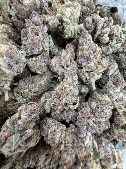 FROZEN CHERRYCANNA STRAIN FROZEN CHERRY CANNA STRAIN FROZEN CHERRYCANNA WEED STRAIN FROZEN CHERRYCANNA STRAIN INDICA OR SATIVA 
