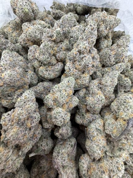 FROZEN BANANAS STRAIN frozen banana strain frozen banana weed strain frozen bananas strain review frozen bananas strain effects frozen bananas strain terpenes
