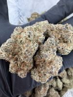 THUNDER BIRD STRAIN THUNDER BIRD WEED STRAIN THUNDER BIRD STRAIN NEAR ME