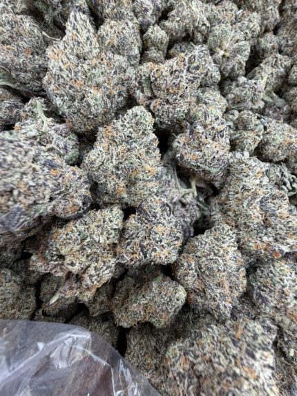 BLUEBERRY JAM STRAIN blue jam strain blue jam weed strain blueberry jam weed strain blueberry jam strain effects blueberry jam strain indica or sativa