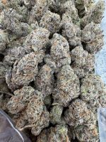 LEMON CHERRY GELATO STRAIN lcg strain lcg weed strain lemon cherry gelato strain effects lcg strain indica or sativa lemon cherry gelato thca