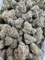 YELLOWTAIL STRAIN yellowtail strain indica or sativa yellow tail strain review yellow tail weed strain YELLOWTAIL STRAIN NEAR ME