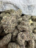 BLOCKBERRY STRAIN block berry strain blockberry blockberry weed strain blockberry strain effects blockberry strain indica or sativa