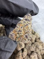 BLUE CAVIAR STRAIN blueberry caviar strain blue caviar weed strain blueberry caviar strain review blueberry caviar strain near me