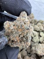 SUBZERO STRAIN sub zero strain sub zero weed strain sub zero strain indica or sativa subzero weed strain