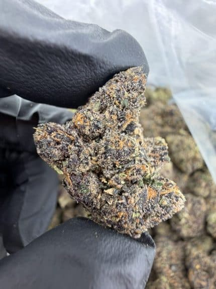 LAVA CAKE STRAIN lava cake strain thc level lava cake strain indica or sativa, lava cake strain effects LAVA CAKE WEED STRAIN