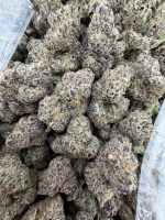 WHITE CHERRY GELATO STRAIN white cherry gelato white cherry gelato weed strain white cherry gelato strain indica or sativa white cherry gelato strain effects