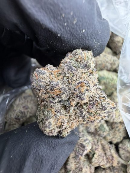 MAD SCIENTIST STRAIN mad science strain mad scientist weed mad scientist weed strain MAD S WEED STRAIN 