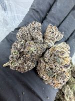 PHANTOM RUNTZ STRAIN phantom runtz weed phantom runtz weed strain PHANTOM RUNTZ STRAIN indica or sativa PHANTOM RUNTZ STRAIN review 