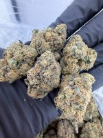 SWEET TARTS STRAIN sweet tarts strain indica or sativa sweet tarts strain effects sweet tarts strain info sweet tarts strain thc level