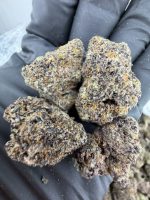 POINT BREAK STRAIN point break strain indica or sativa point break strain effects point break strain review point break strain info