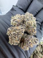 SUGAR MAMA STRAIN sugar mama weed strain sugar mama strain indica or sativa sugar mama strain effects sugar mama strain review