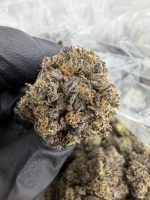 GOTTI BLETZ STRAIN gotti beltz strain indica or sativa gotti beltz strain review gotti beltz strain effects gotti beltz weed strain