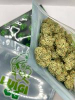 LUIGI OG PREMIUM BOUTIQUE FLOWER LUIGI OG PREMIUM FLOWER LUIGI OG FLOWER LUIGI OG PREMIUM CANNABIS FLOWER LUIGI OG CANNABIS FLOWER