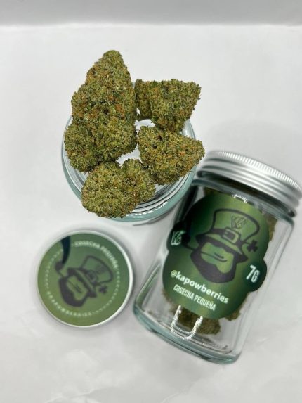 KAPOW BERRIES SMALL BATCH KAPOW BERRIES PREMIUM FLOWER KAPOW BERRIES SMALL BATCH QTR KAPOW BERRIES PREMIUM SMALL BATCH QTR KAPOW BERRIES 7G JAR