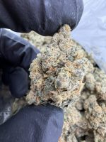 KEY LIME JACK STRAIN key lime jack strain effects key lime jack strain review key lime jack strain indica or sativa KEY LIME JACK WEED STRAIN