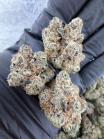 TAHOE OG STRAIN tahoe og strain effects tahoe og strain indica or sativa tahoe og strain review