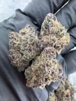 OBAMA RUNTZ STRAIN obama runtz strain indica or sativa OBAMA RUNTZ weed STRAIN OBAMA RUNTZ cannabis STRAIN obama runtz weed effects