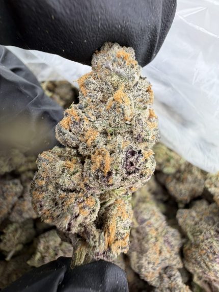 COSMIC BANANA STRAIN cosmic banana strain review cosmic banana strain indica or sativa cosmic banana weed strain cosmic banana strain decibel